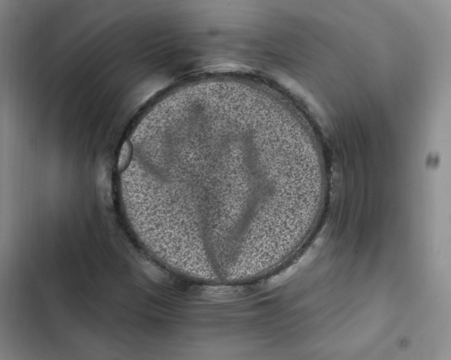 X0000102801305200809150919