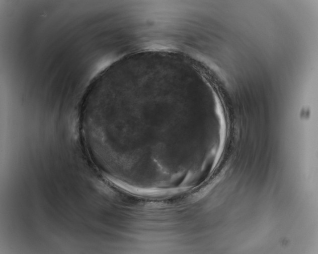 X0000102801306200809150919