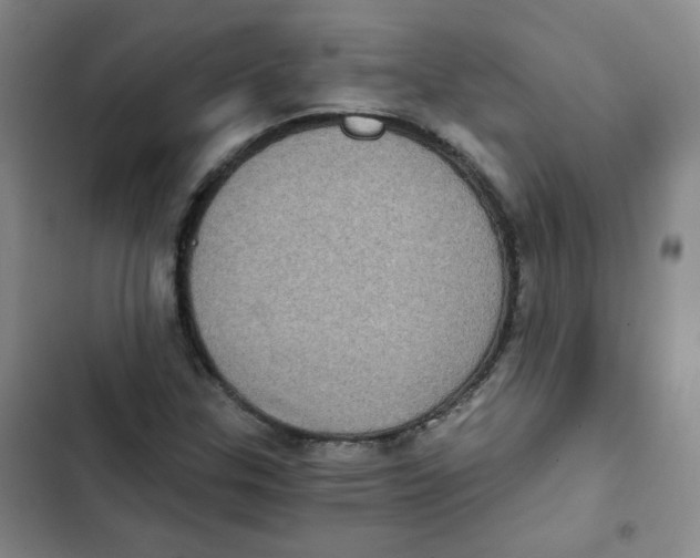 X0000102801307200809150919