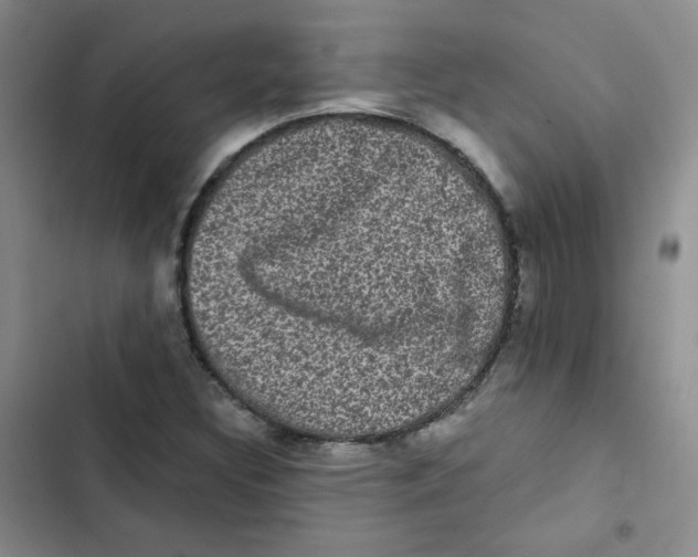 X0000102801308200809150919