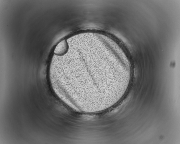 X0000102801309200809150919