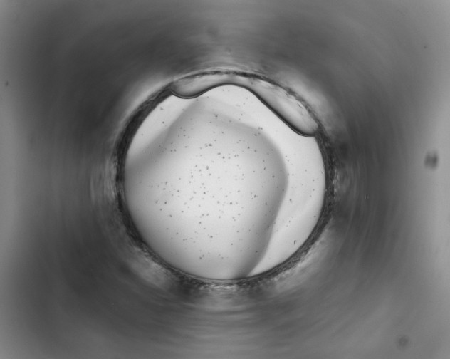 X0000102801310200809150919