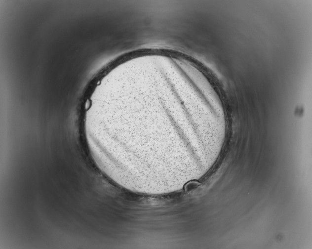 X0000102801311200809150919