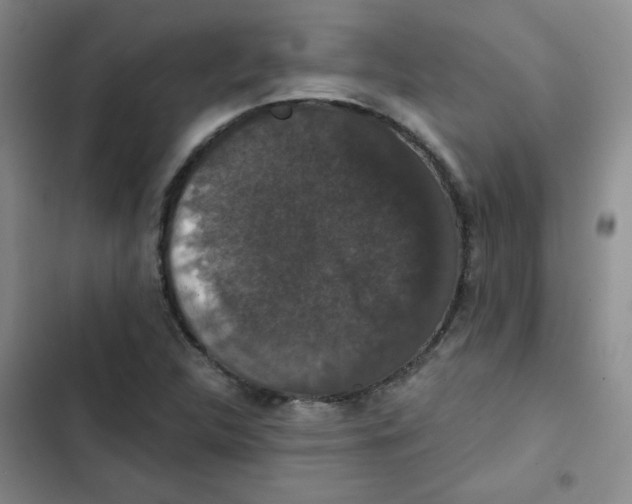 X0000102801312200809150919