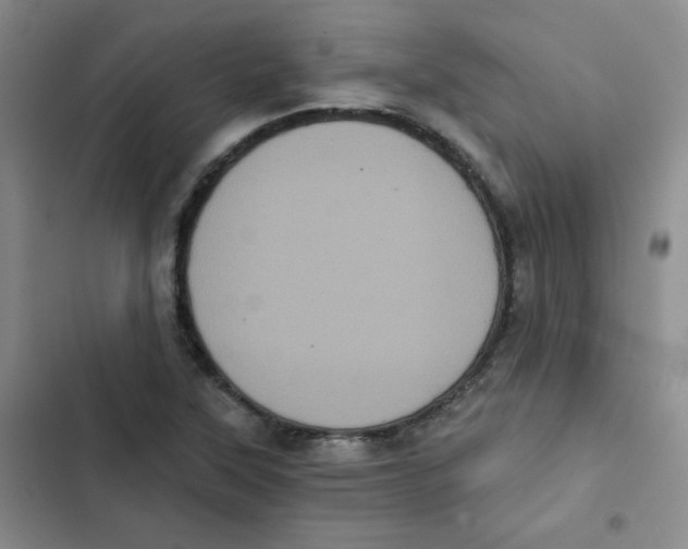 X0000102801315200809150919