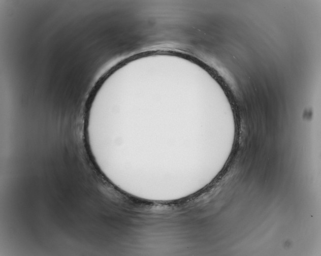 X0000102801316200809150919