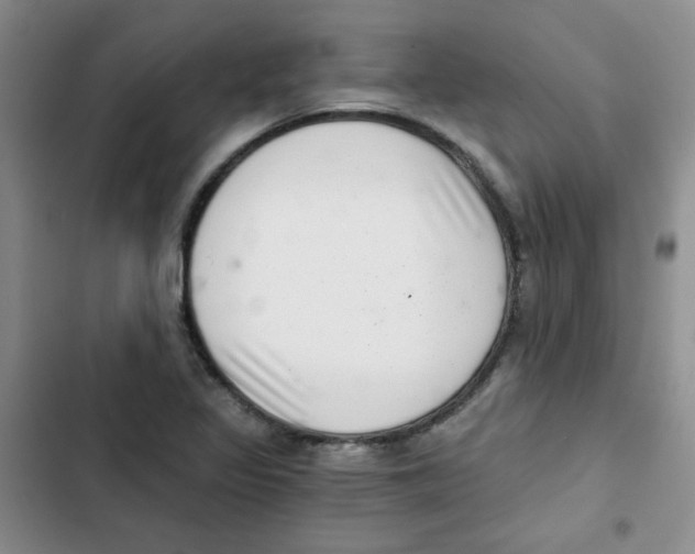 X0000102801317200809150919