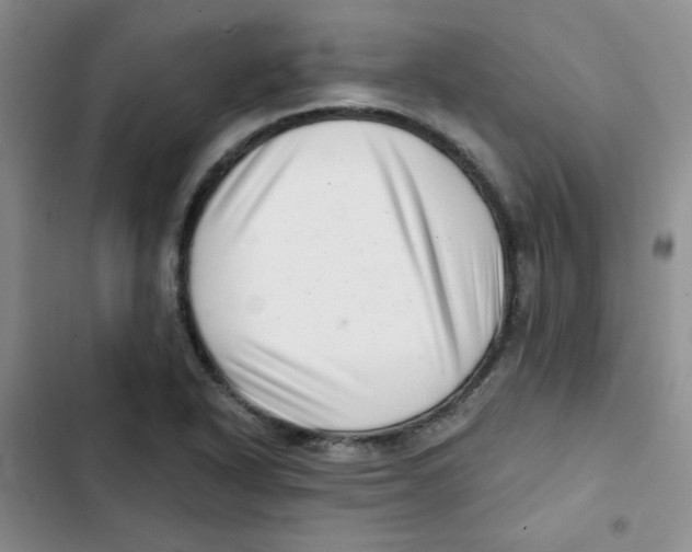 X0000102801318200809150919