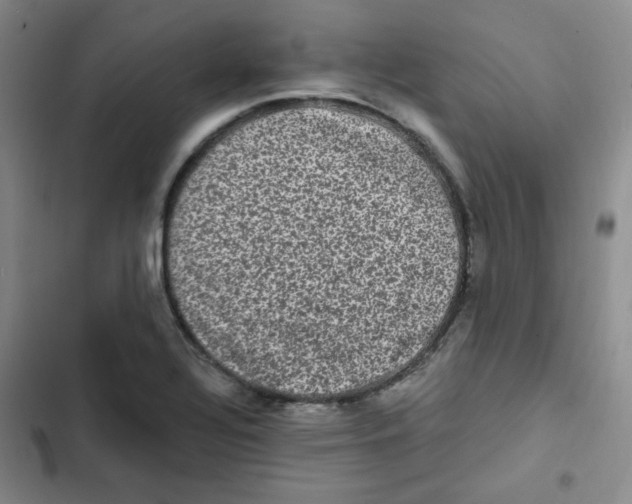 X0000102801320200809150919