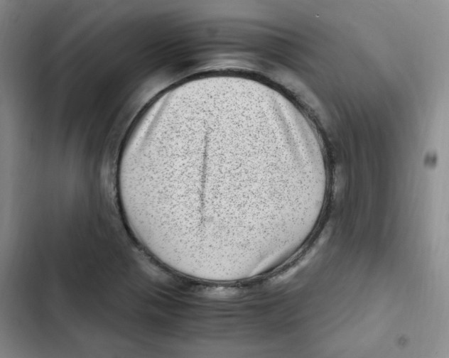 X0000102801321200809150919