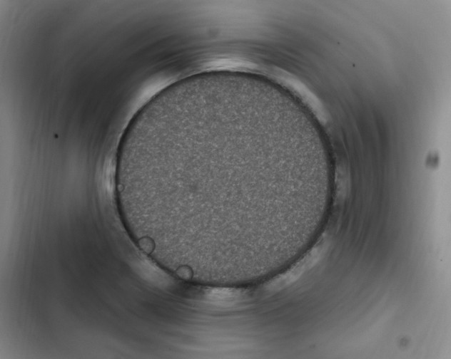 X0000102801322200809150919