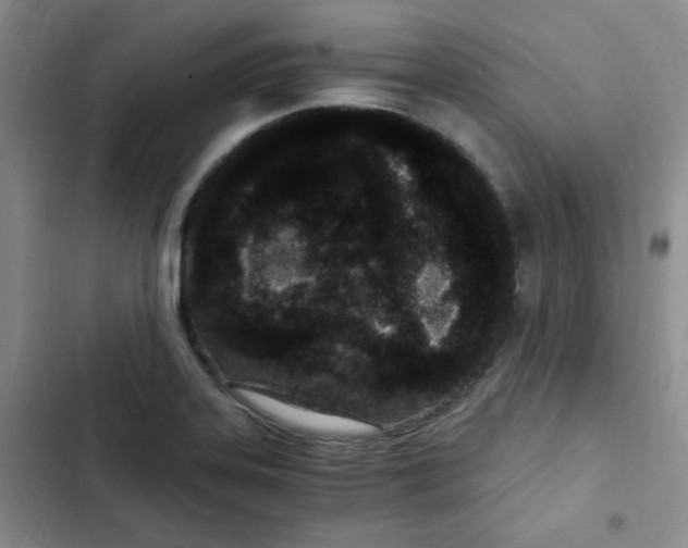 X0000102801323200809150919