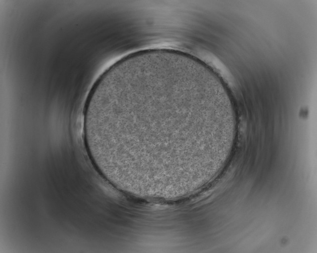 X0000102801324200809150919