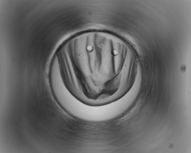 X0000102801326200809150919