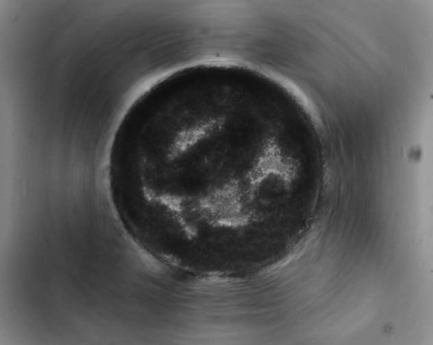 X0000102801327200809150919