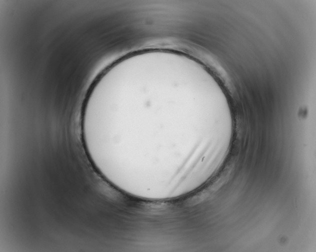 X0000102801328200809150919