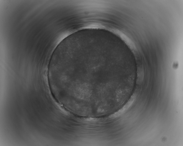 X0000102801329200809150919