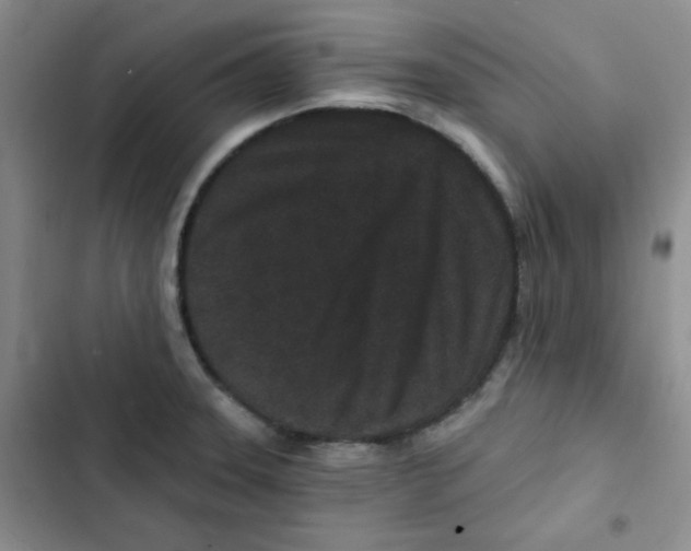 X0000102801331200809150919