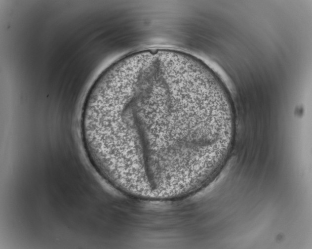 X0000102801333200809150919