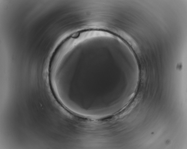 X0000102801334200809150919