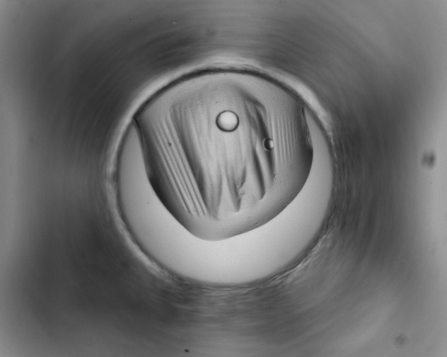 X0000102801335200809150919