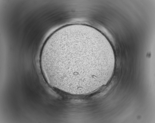 X0000102801336200809150920