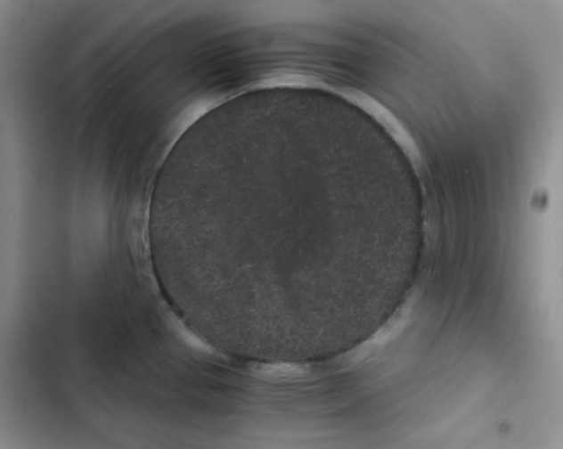 X0000102801337200809150920