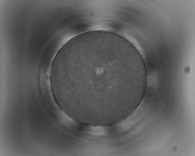 X0000102801338200809150920