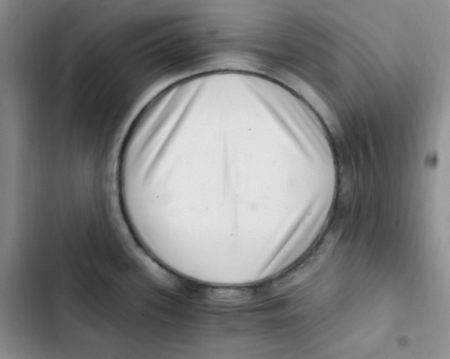 X0000102801339200809150920