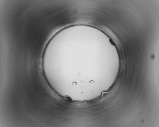 X0000102801340200809150920