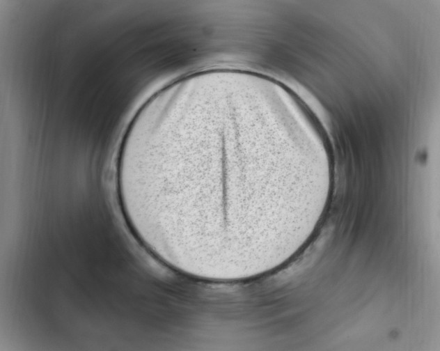 X0000102801341200809150920