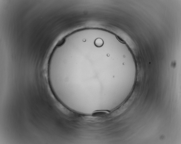 X0000102801342200809150920