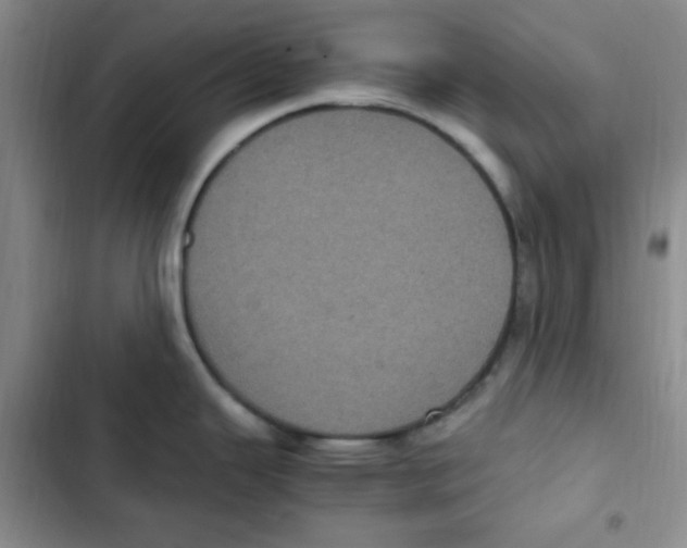 X0000102801343200809150920