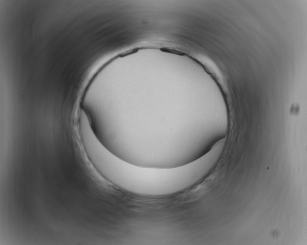 X0000102801344200809150920