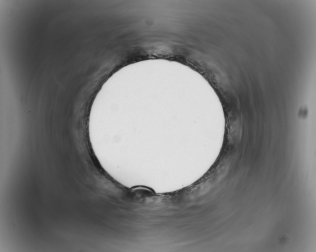 X0000102801345200809150919