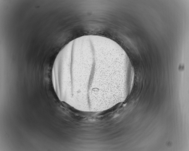 X0000102801346200809150919