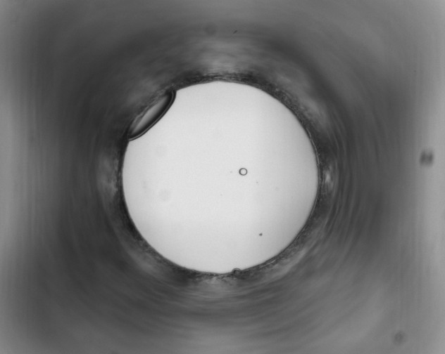 X0000102801348200809150919