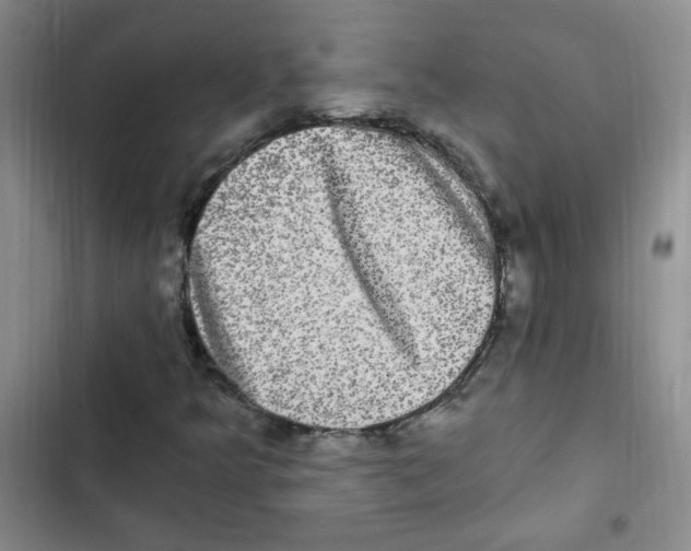 X0000102801349200809150919