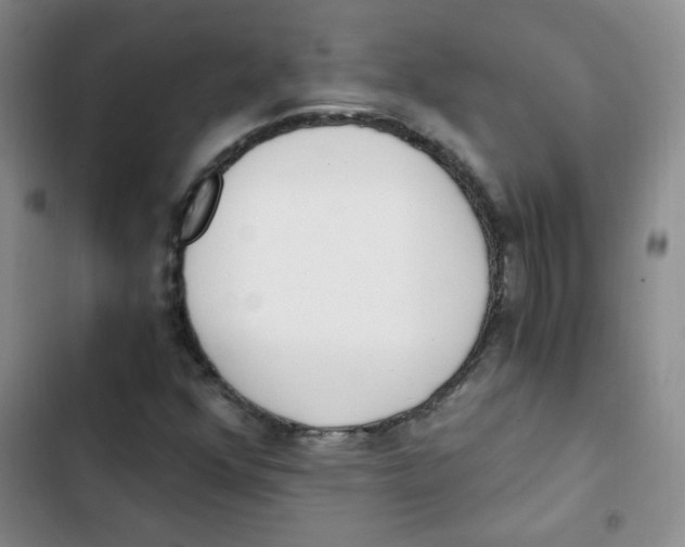 X0000102801352200809150919