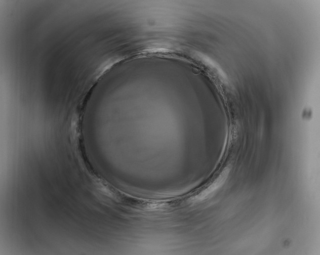 X0000102801353200809150919