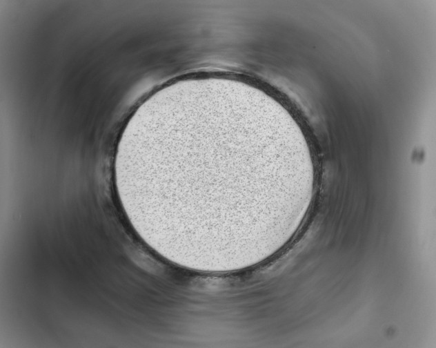 X0000102801355200809150919