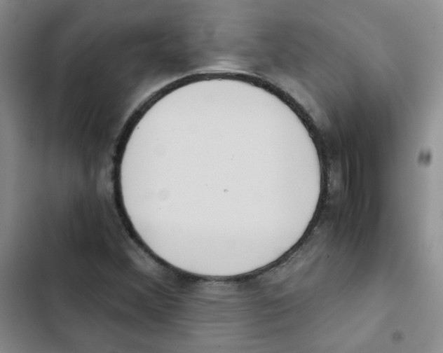 X0000102801356200809150919