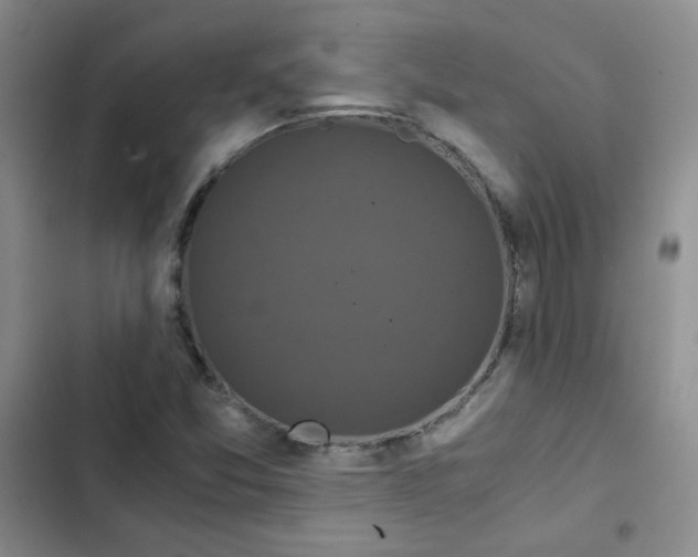 X0000102801357200809150919