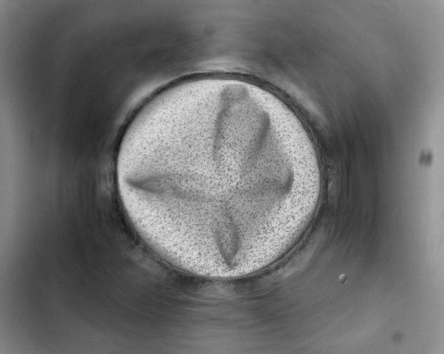 X0000102801358200809150919