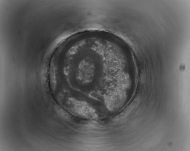 X0000102801359200809150919