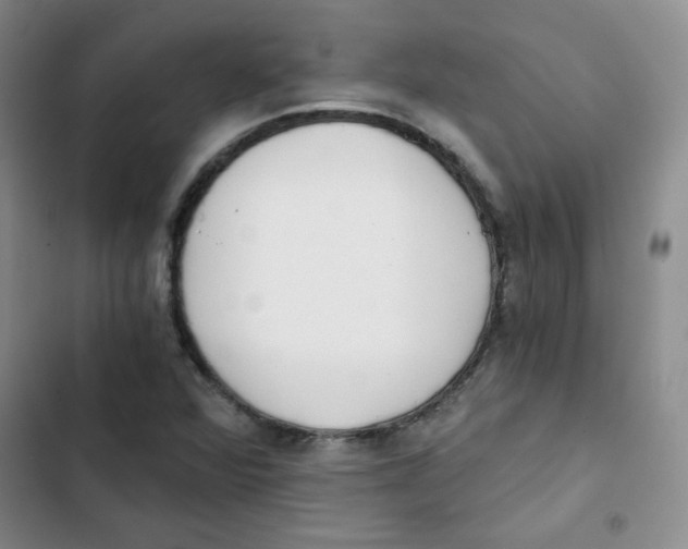 X0000102801360200809150919