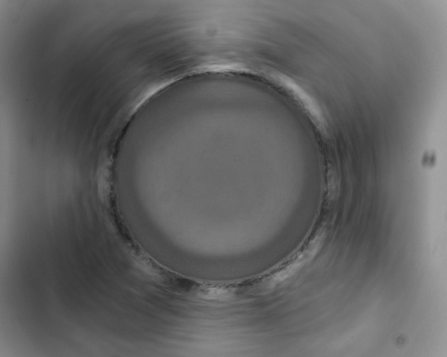 X0000102801361200809150919