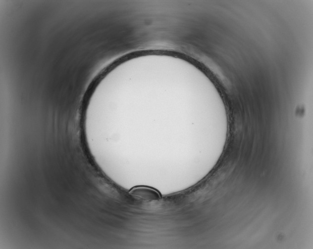 X0000102801364200809150919