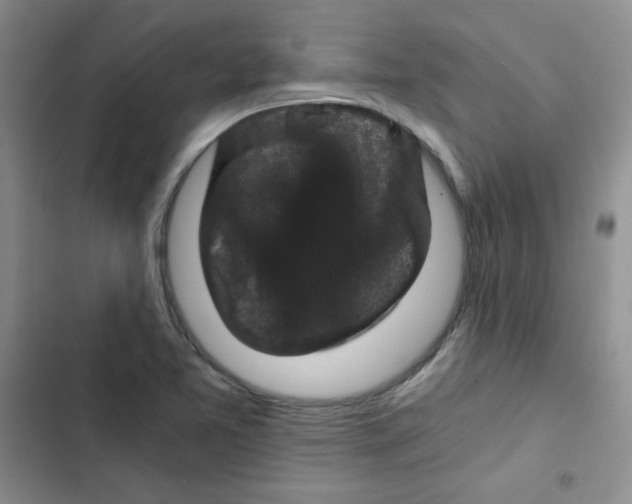 X0000102801365200809150919