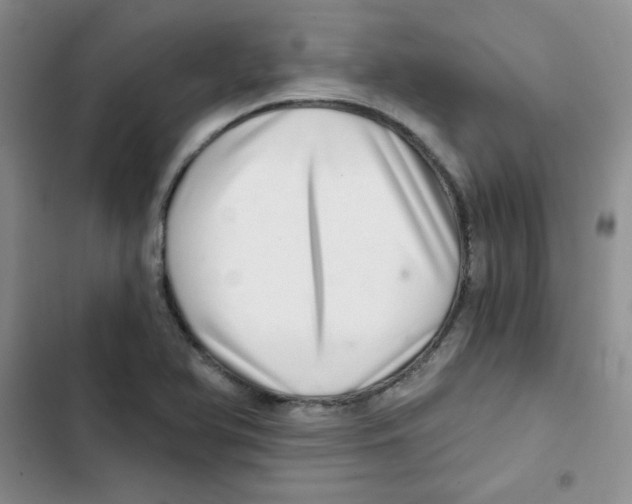 X0000102801366200809150919